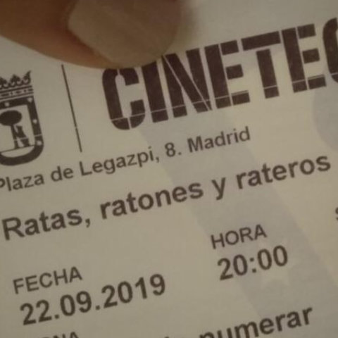Primer plano del boleto para ver "Ratas, ratones, rateros"
